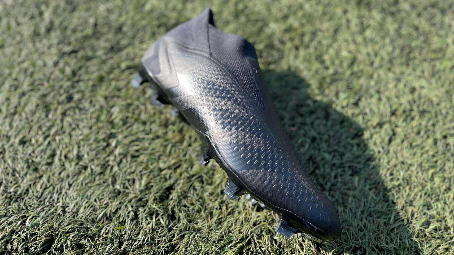 的梦想不仅 的梦想不仅