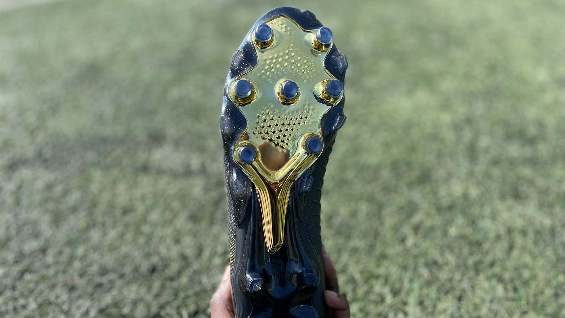 格的差异以 格的差异以