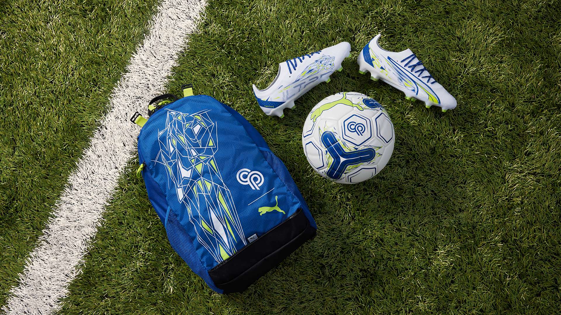 的坚定信念 的坚定信念