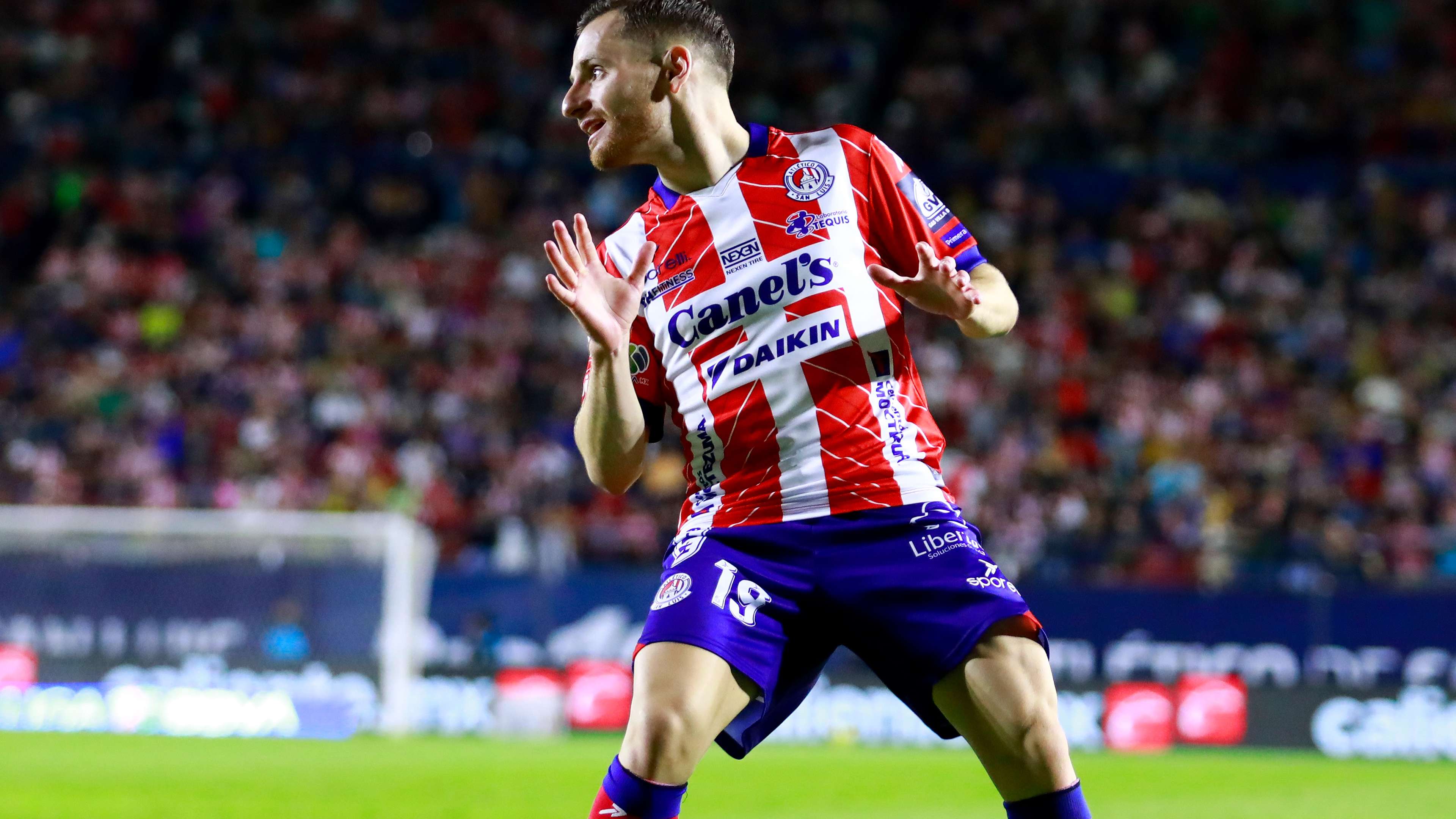 集训营的环 集训营的环